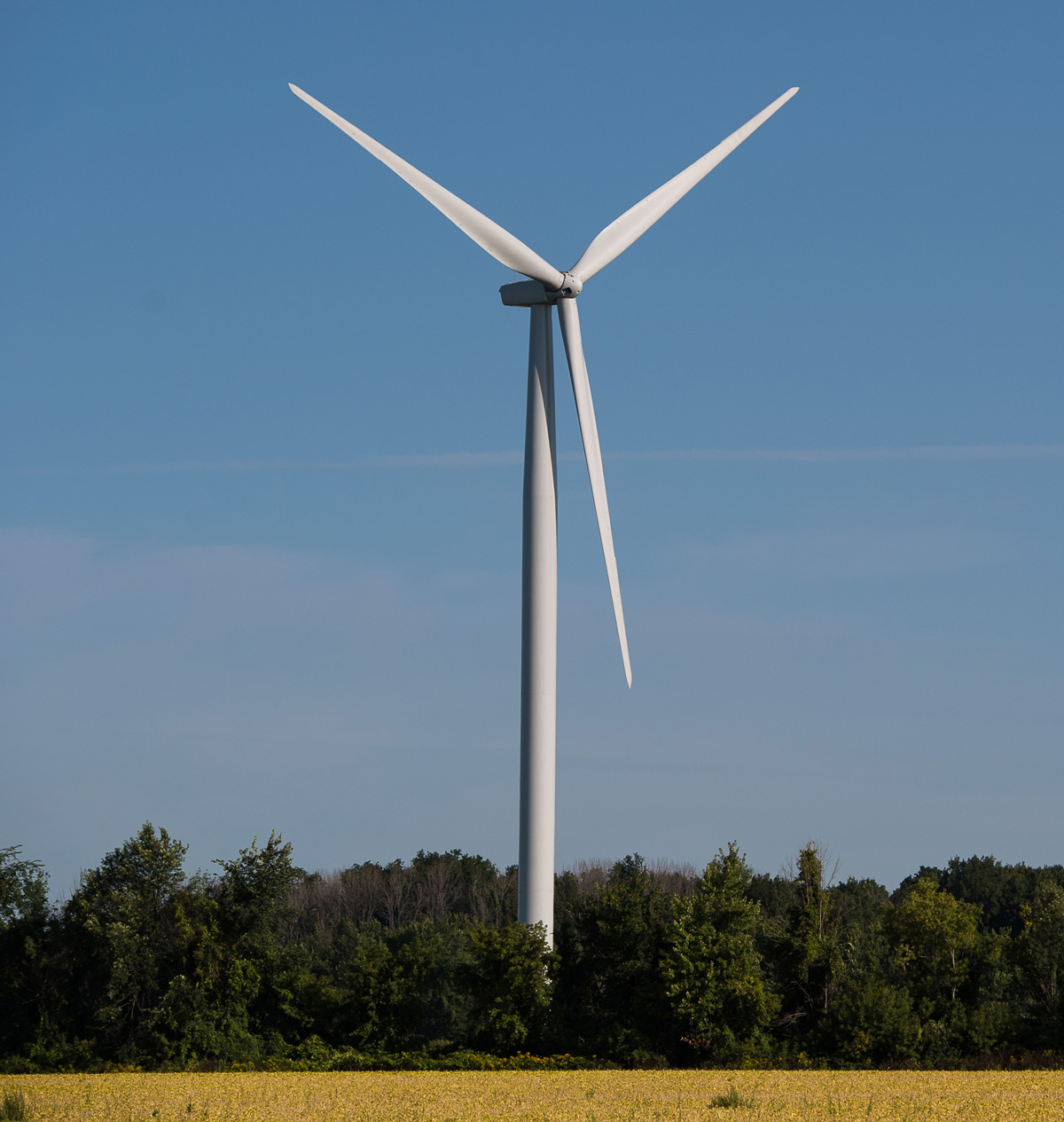 Photo of Windmill